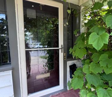 Downtown Buffalo Apartment | The Paradise House steps from the Heart of Hertel