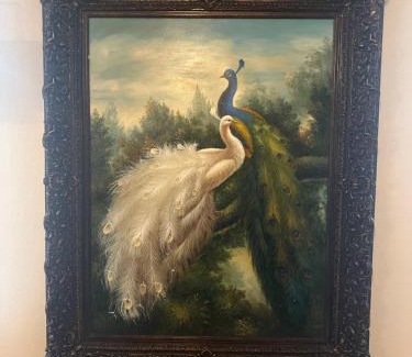 San Marcos Villa | The Peacock Cottage