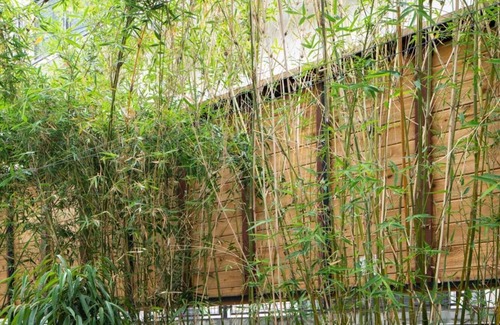 Roseville - Fleet Ridge Hotel | The Pearl Hotel