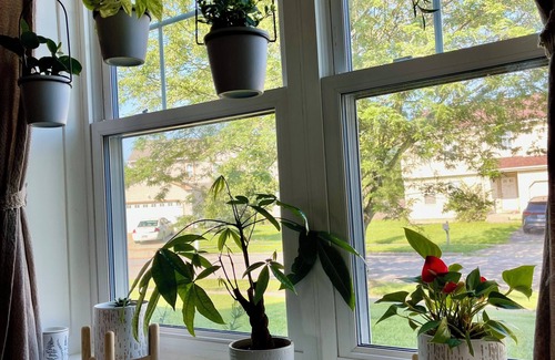 Grove City House | The Perfect Pause