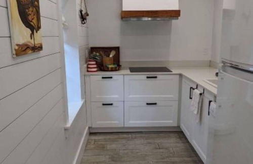 Seminole Heights Cottage | The Pink Cottage: Old Charm with new Amenities