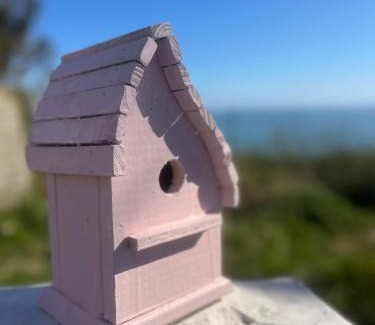 Carrickfergus Apartment | The Pink Cottage upstairs suite & Garden Summer Room