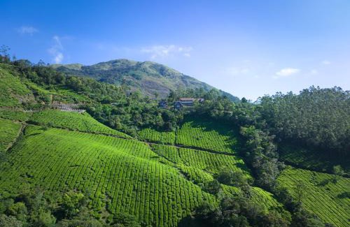 Suryanelli Resort | The Planet Munnar