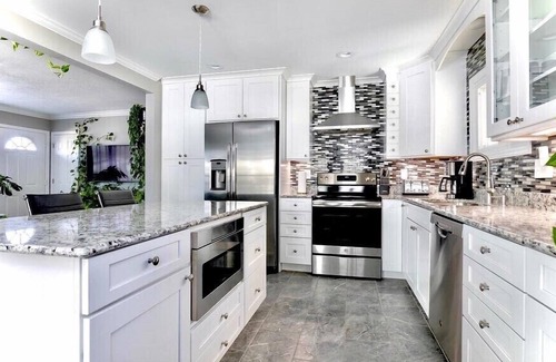 St. Louis House | THE PLANT SANCTUARY 🌱