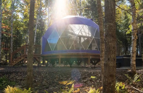 Queens County Cabin | The Purple Violet
