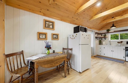 Remsen House | The quintessential lakeside cabin. Tradition meets today. Family, friends, pets!