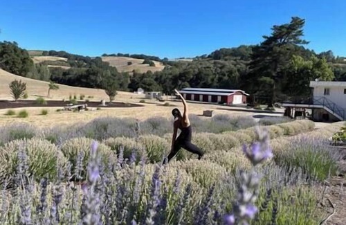 Paso Robles House | The Quintessential Barn at Farm Blanc Et Rouge