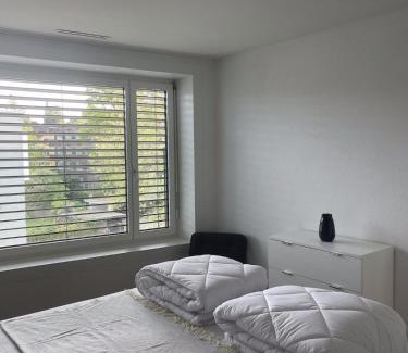 Schaffhausen Apartment | The R Apartment Bleiche - Central - Station