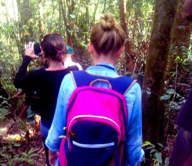Kotapola Resort | The Rainforest Ecolodge - Sinharaja with Shuttle Service from Car Park