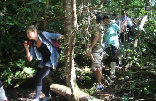 Kotapola Resort | The Rainforest Ecolodge - Sinharaja with Shuttle Service from Car Park