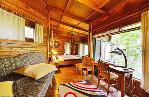 Mabira Cabin | The Rainforest Geo Lodge
