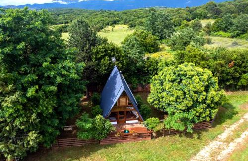 Zitsa Ski Chalet | The Rancho Relaxo