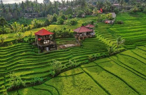 Blimbing House | The Ravaya Arim Villa -Peaceful, Romantic, Natural