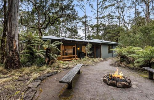Ebor House | The Residence
