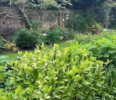 Angmering Apartment | The Resting Shepherd