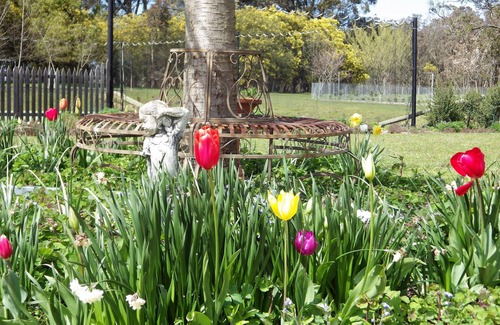 Ashbourne Cottage | The Retreat at Amryhouse