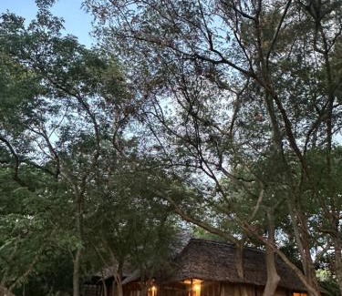 Mafia Island House | The Rocks MaweniBeach Bungalows