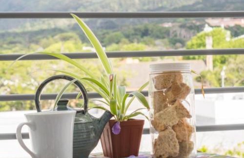 Rondebosch Apartment | The Rondebosch