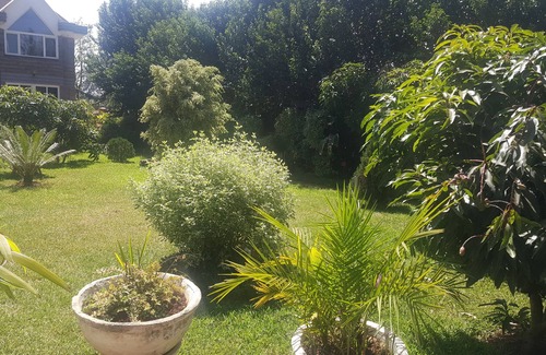 Nairobi Cottage | The Round House - A Charming Cottage, in the peaceful Loresho suburb in Nairobi.
