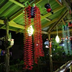 Khlong Sok Cabin | The Royal Bamboo Lodges - SHA Certified
