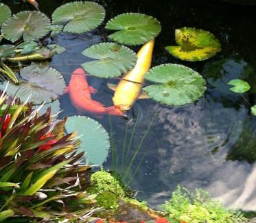Wailua Homesteads House | The Secret Garden Room