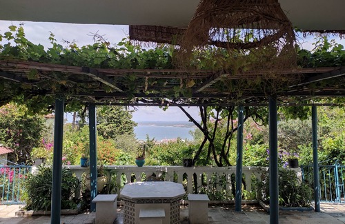 Cite Rmel House | The secret garden
