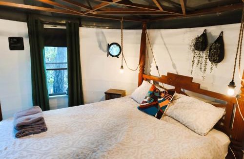Apple Tree Creek House | The Secret Yard
