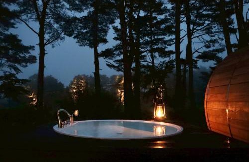Narusawa Resort | The SENSE FUJI