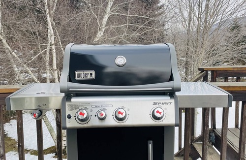 Prattsville House | The Serene Gem! 10 min to Windham! 20 min to Hunter!