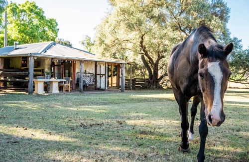 Cowra Other | The Shearing Shed Cowra - Boutique Farm Stay