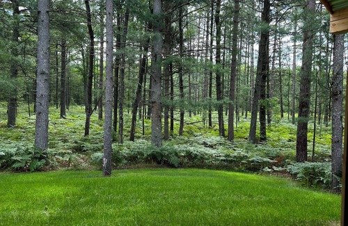South Boardman Cabin | The Shire, a fun cabin retreat. Warm and cozy, nestled trailside in the woods.