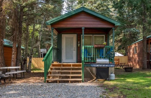 Bayfield House | The Shooting Star Cabin #11 at Blue Spruce RV Park & Cabins