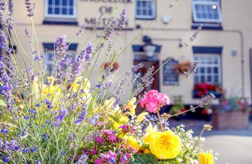 King's Bromley Hotel | The Shoulder Of Mutton Inn