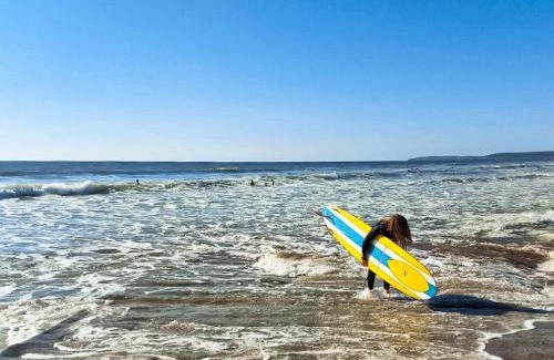 Westward Ho House | The Shrimp