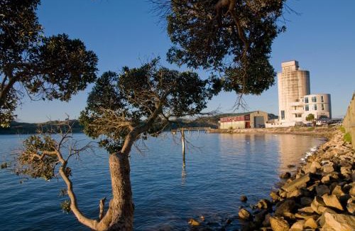 Raglan Apartment | The Silos Apartments