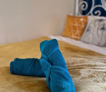 Manchester Apartment | The Silva Noire