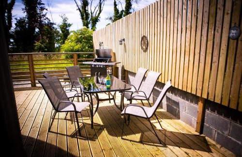 Loughrea Other | The Snowdrop