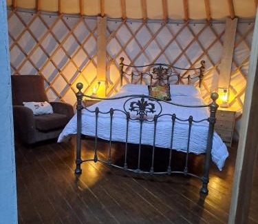 Loughrea Other | The Snowdrop