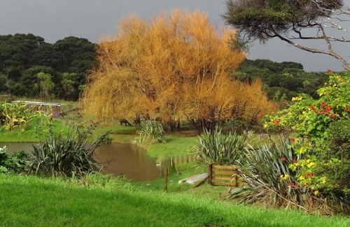 South Head House | The snug and secluded Wilson Road Magic Lodge