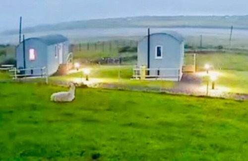 Ballyshannon Apartment | The Snuggly Sheep Shepherd Hut Campview Farm Stay