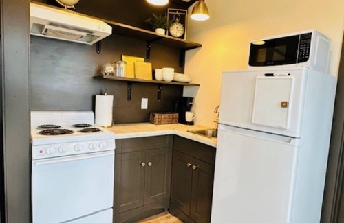 Wabasha House | The Sojourner tiny home w/views of Lake Pepin! Spacious deck/firepit space!