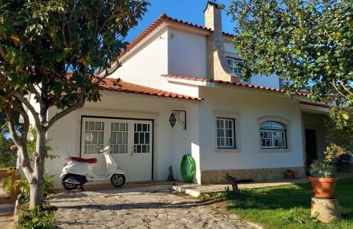 Torres Novas House | The Space - Central Portugal
