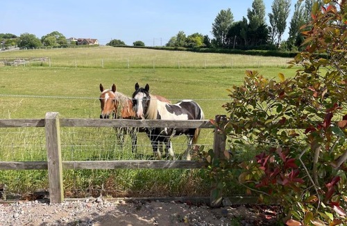Belluton House | The Stables