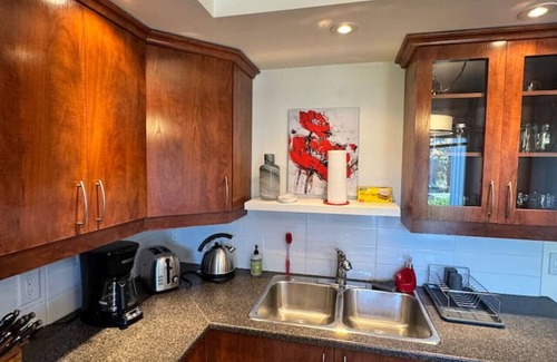 Rosemont-La Petite-Patrie Apartment | The star pop art urban and vibrant 1B
