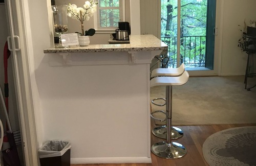 Charlottesville Condo | The Stone Abode-2Bdrm/1Ba quiet retreat. A perfect location-close to everything.