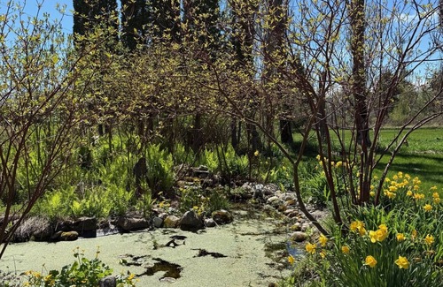 Beaver Island House | The Stone House of Beaver Island