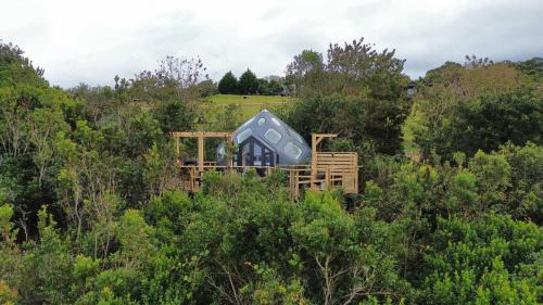 Storms River Other | The Storm Hive - Misty Mountain Reserve