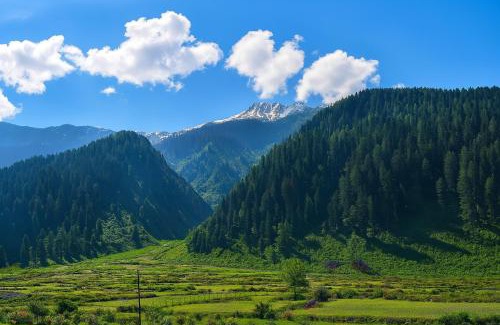 Gund Resort | The Sultan Resort