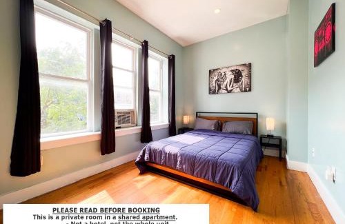 Ocean Hill House | The Sunny Homestay