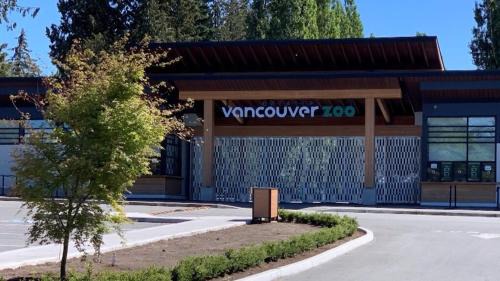 Surrey House | The Sunset Haven- Cozy 2BR Basement Suite near White rock